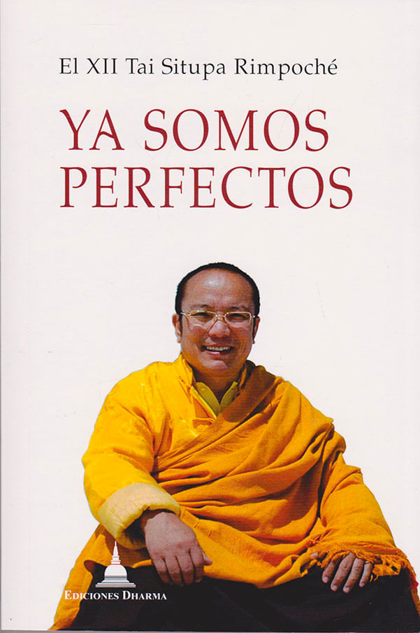 ya-somos-perfectos-9788494532740-edga