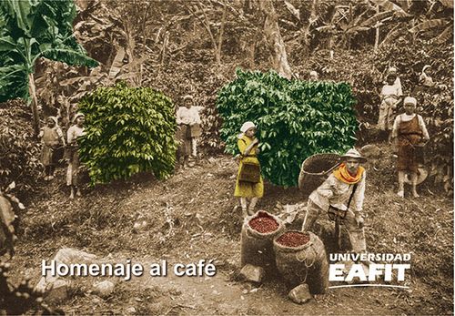 Homenaje al café Incluye tarjetas postales