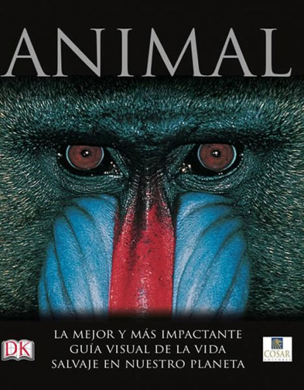 animal-la-mejor-y-mas-impactante-9781409339687-medi