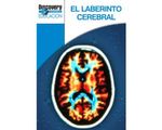 16_laberinto_cerebral