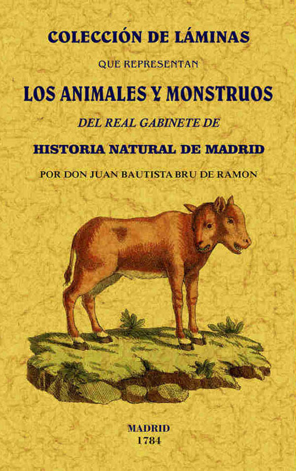 coleccion-de-laminas-9788490014974-edga