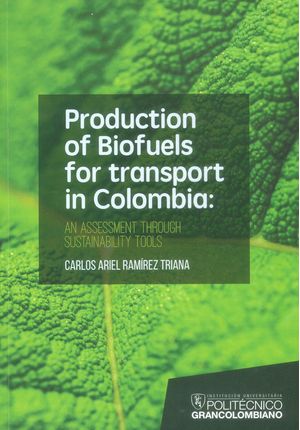 Production of biofuels for tansport in Colombia : An assessment through sustainability tools