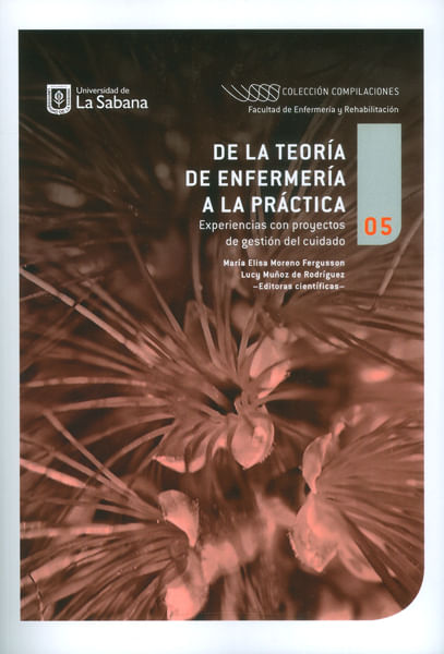 De la teoría de enfermería a la prácticaExperiencias con proyectos de gestión del cuidado