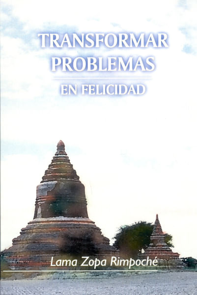 transformar-problemas-en-felicidad-9788486615604-edga