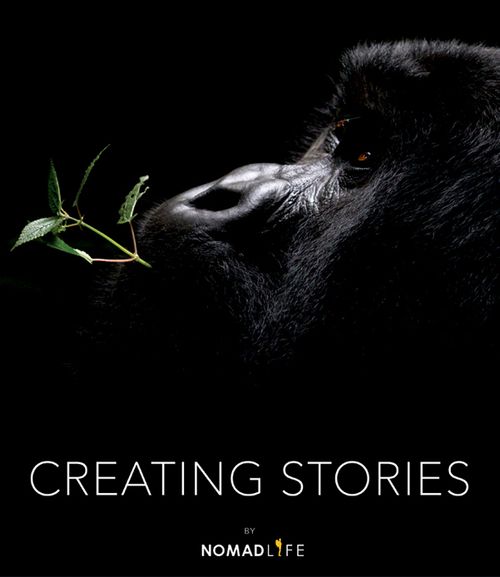 Creating Stories