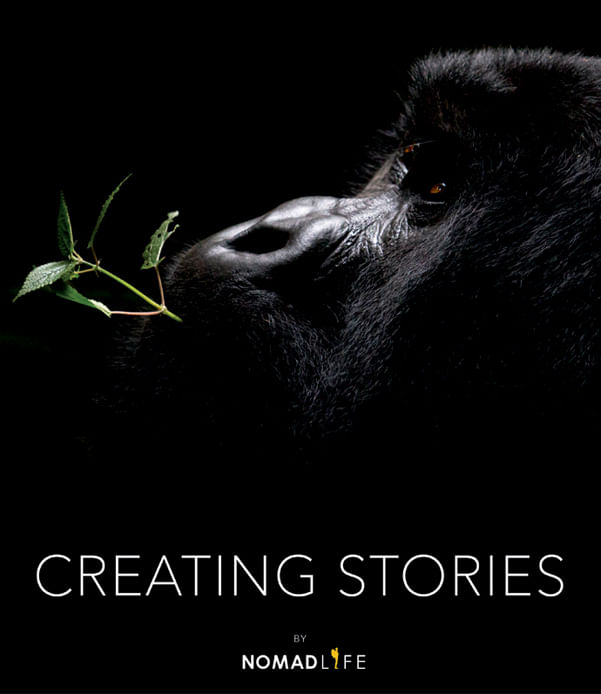 Creating-Stories-9786074373714-cang